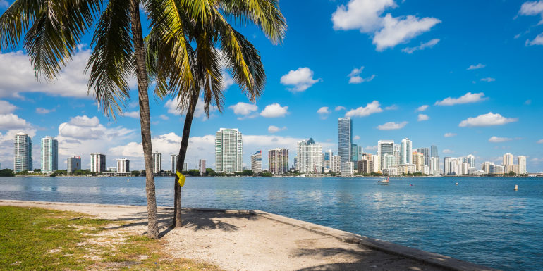 miami florida skyline getting around cruise
