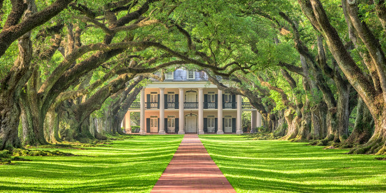 oak alley plantation mississippi river cruise