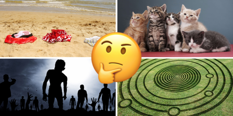themed cruise cat zombie conspiracy voyage