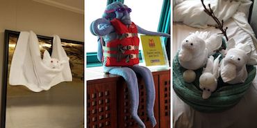 Which cruise line has the best towel animals?